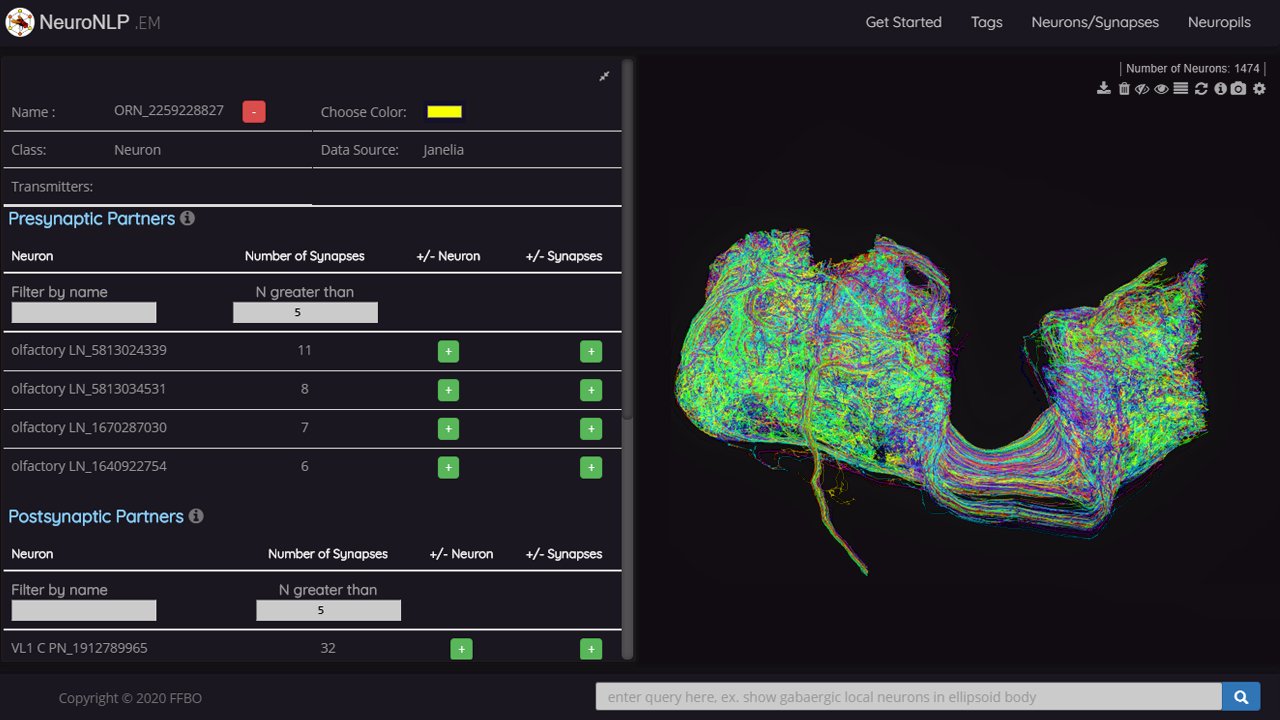 NeuroNLP Info Panel